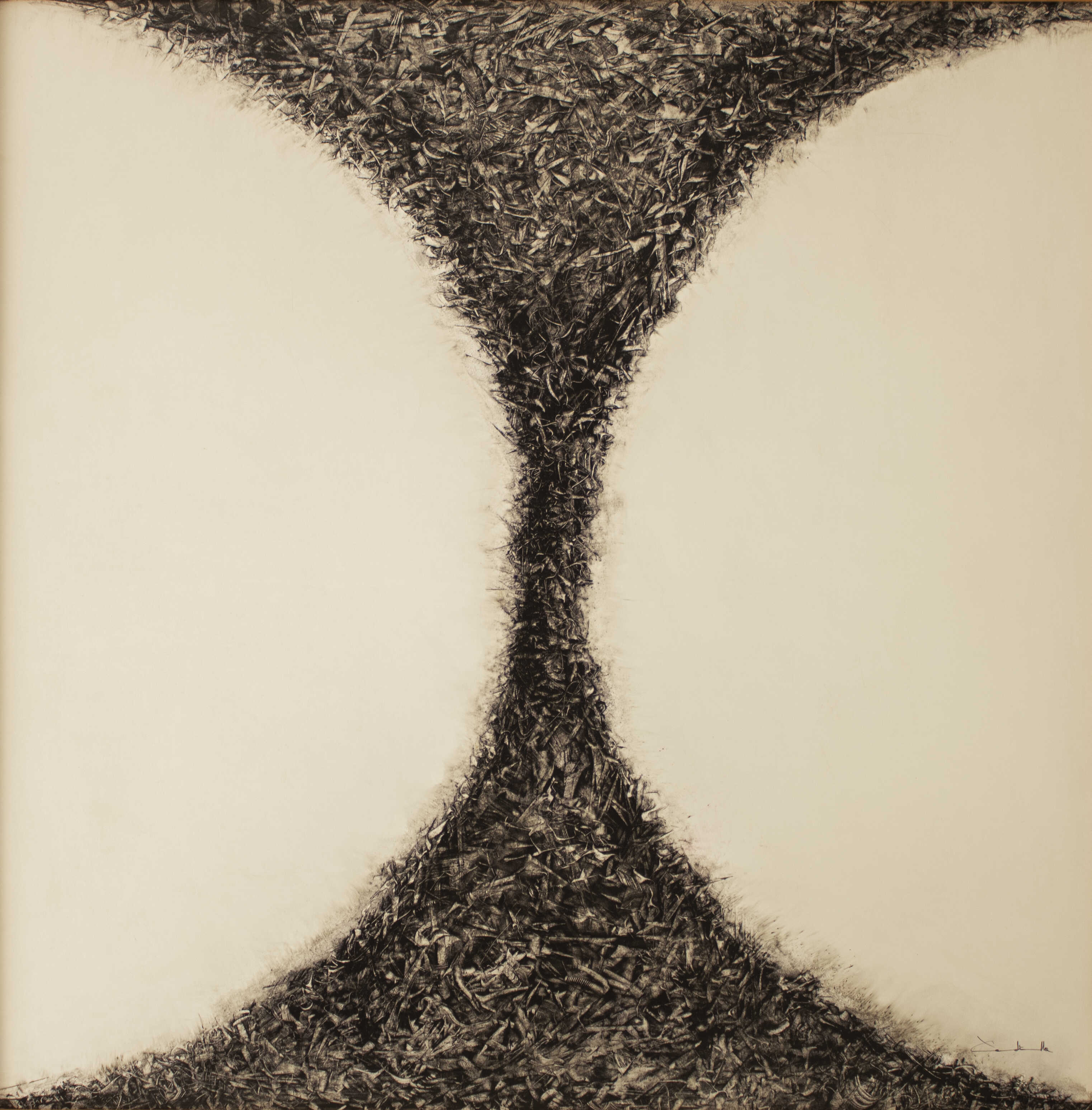 Morfogénesis 10