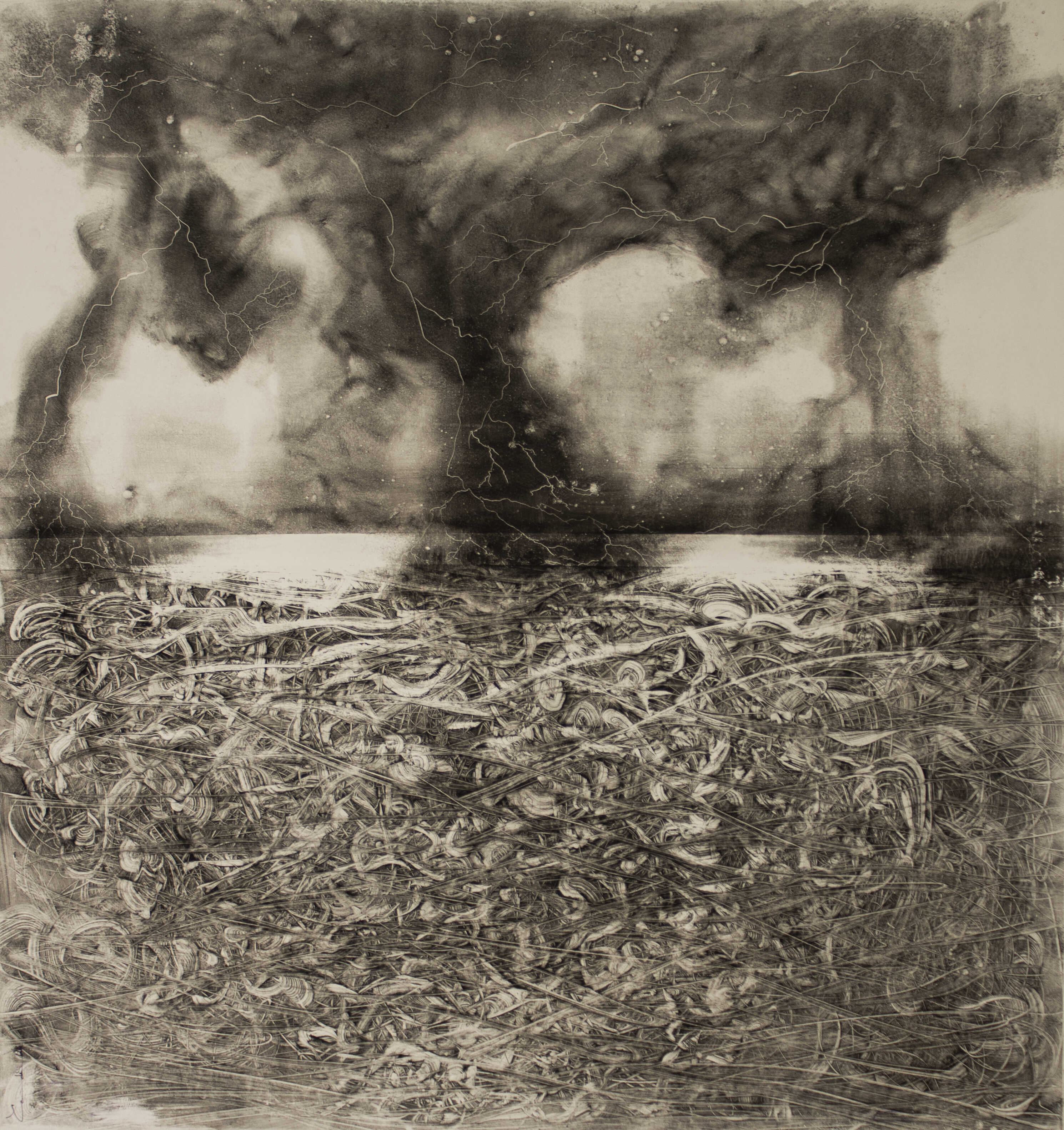 Morfogénesis 13