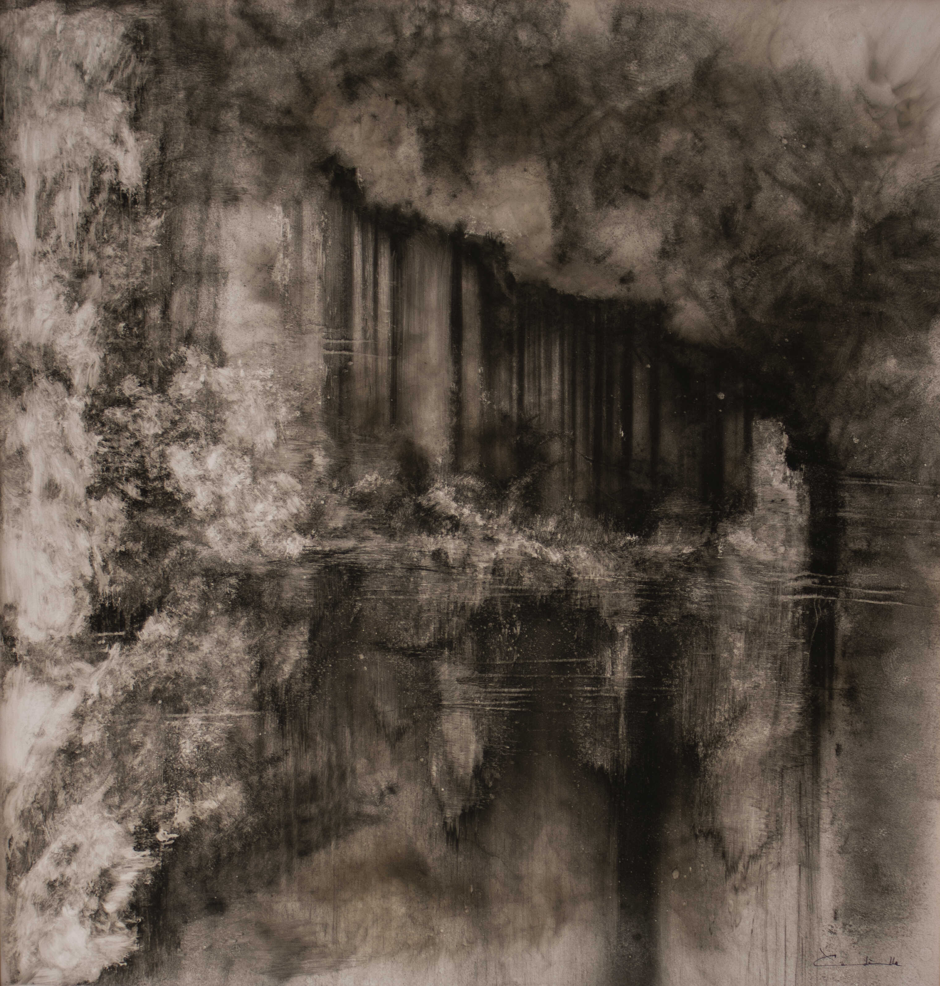 Morfogénesis 14