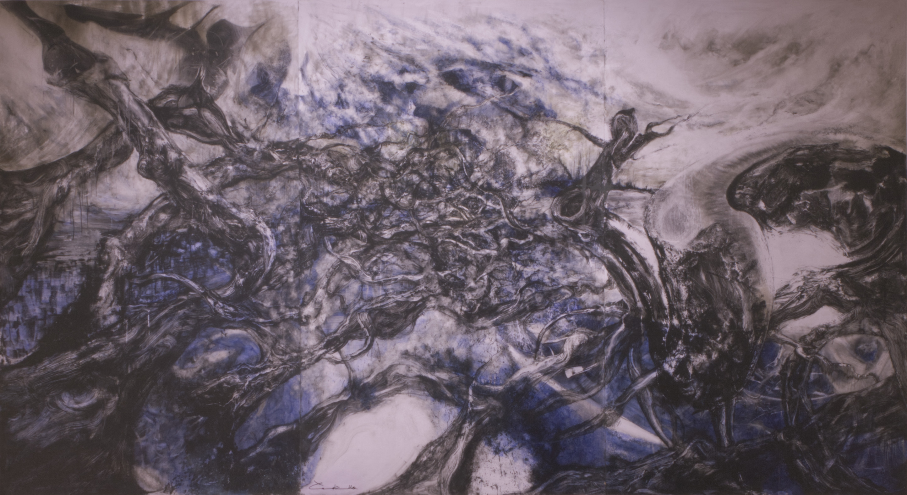 Morfogénesis 16