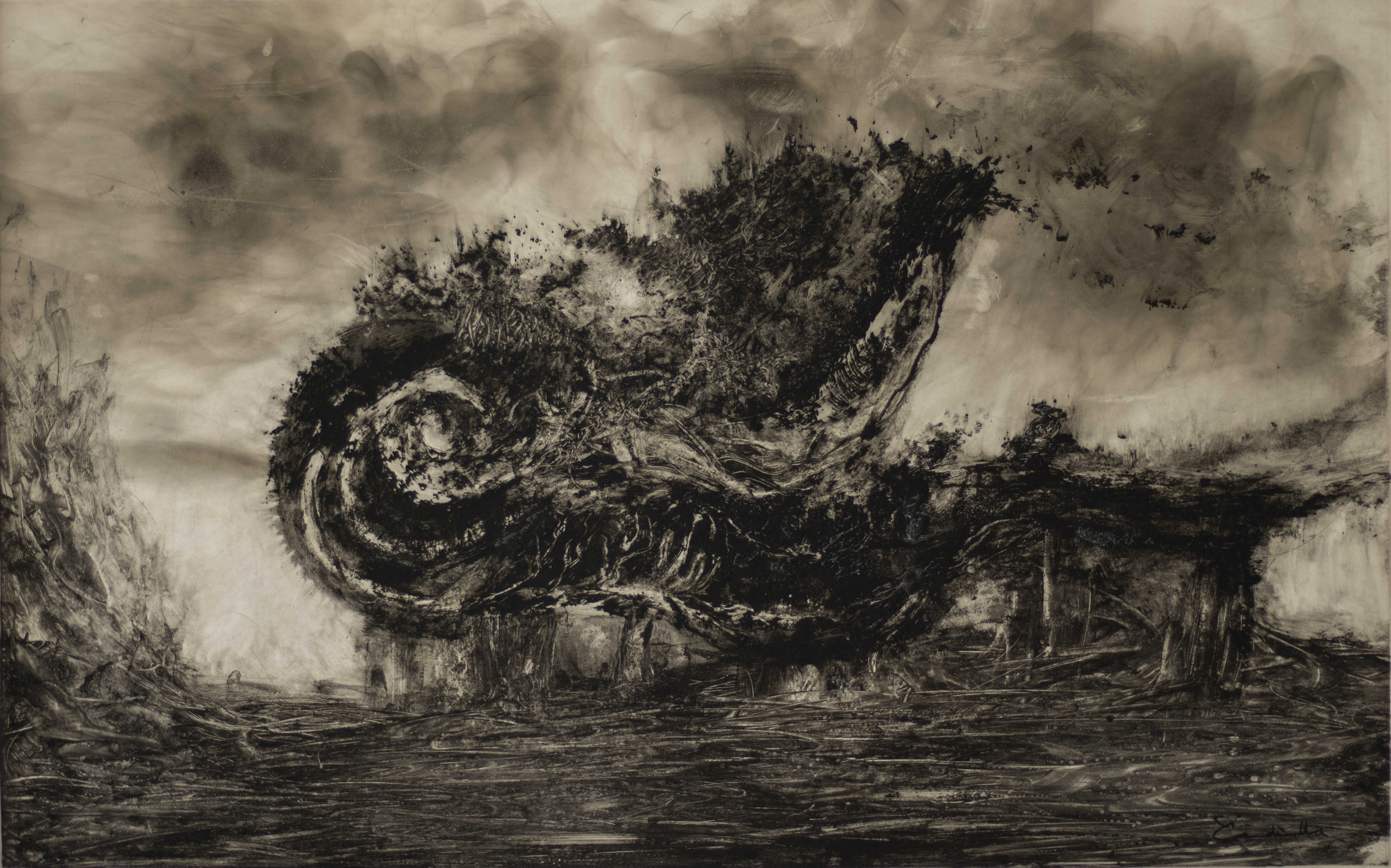 Morfogénesis 4