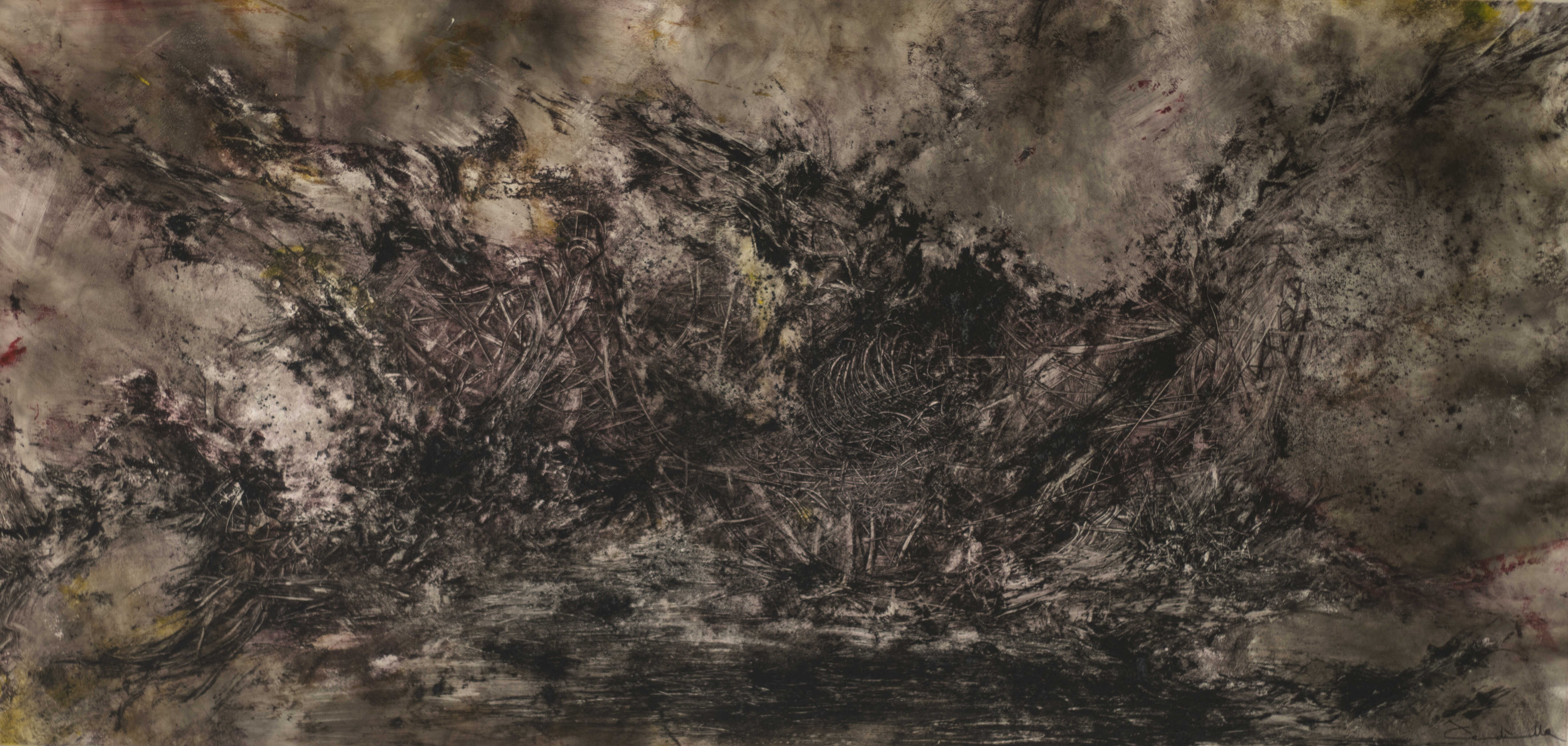 Morfogénesis 5
