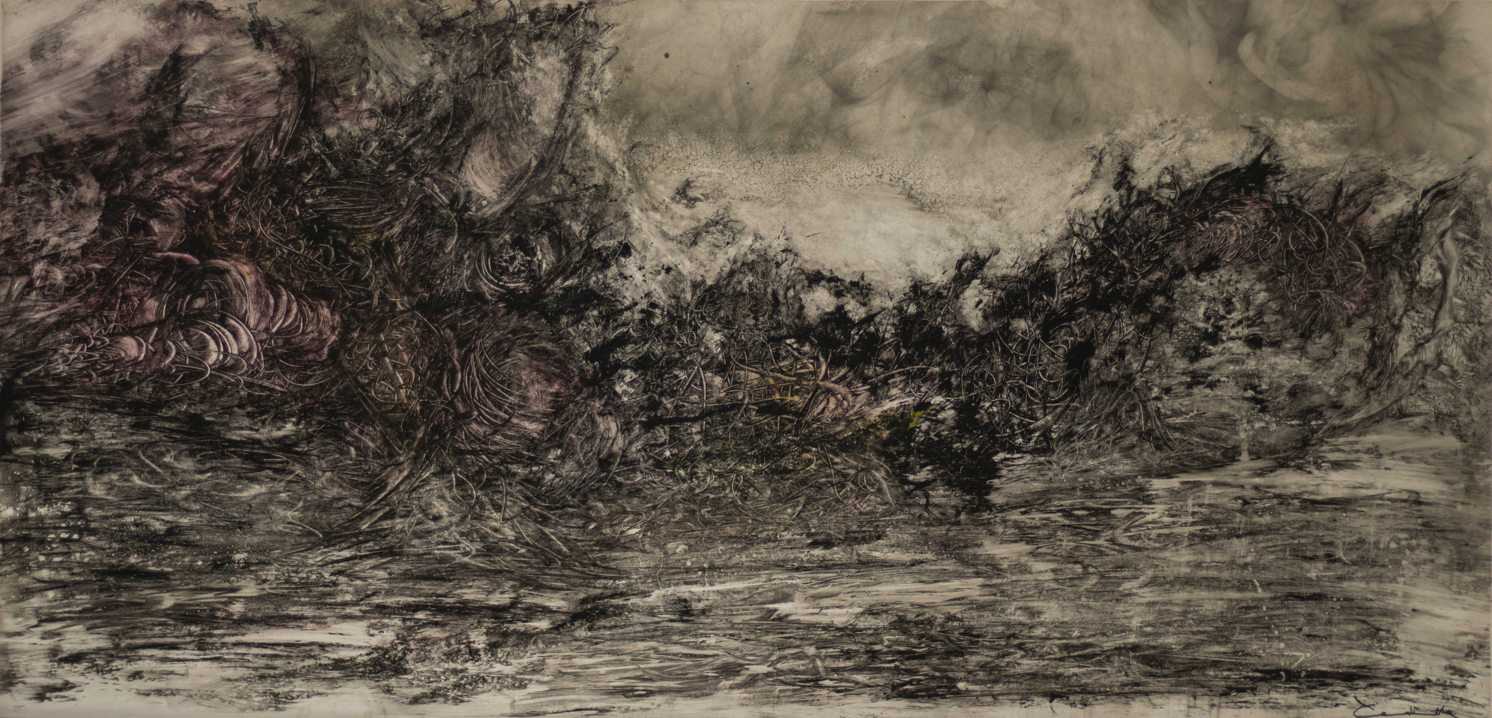 Morfogénesis 6