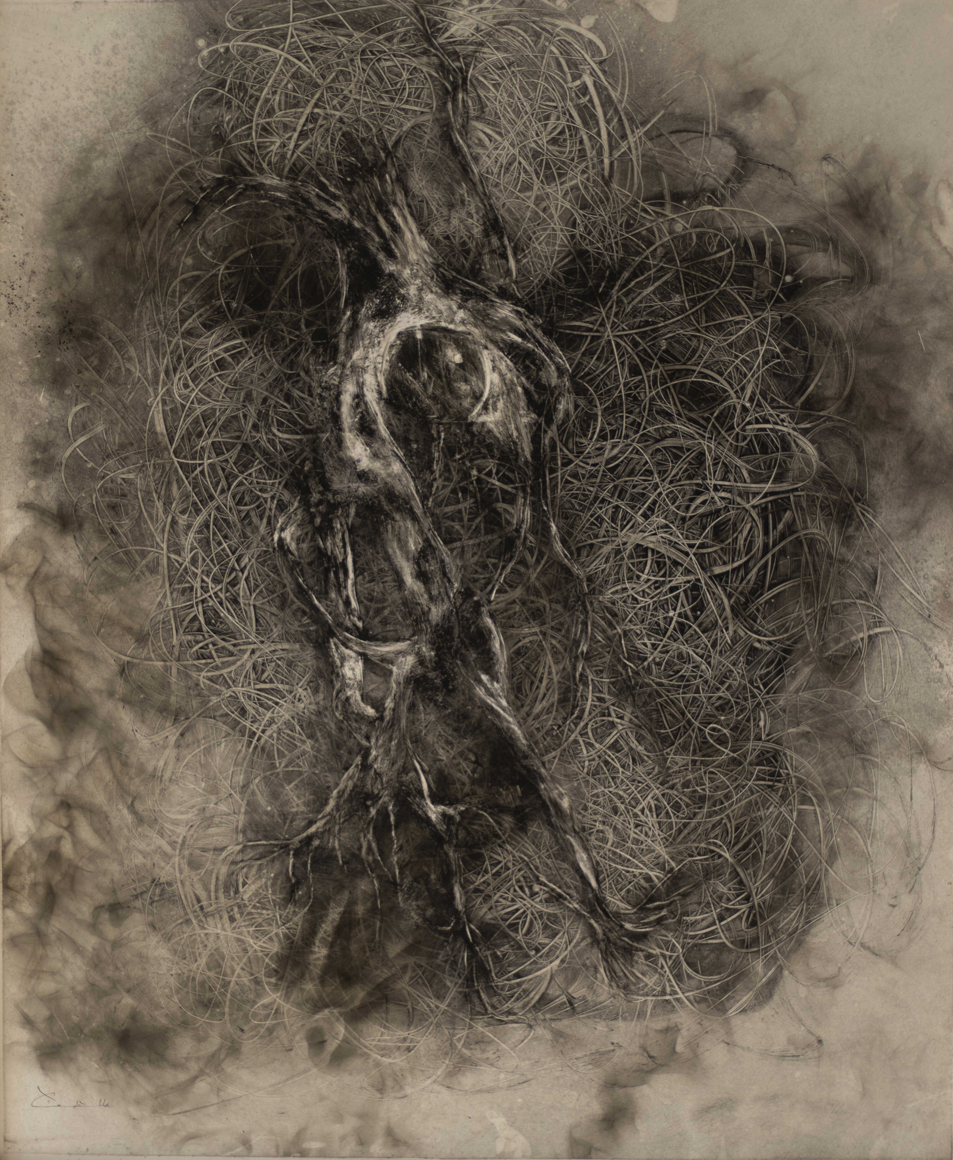 Morfogénesis 8